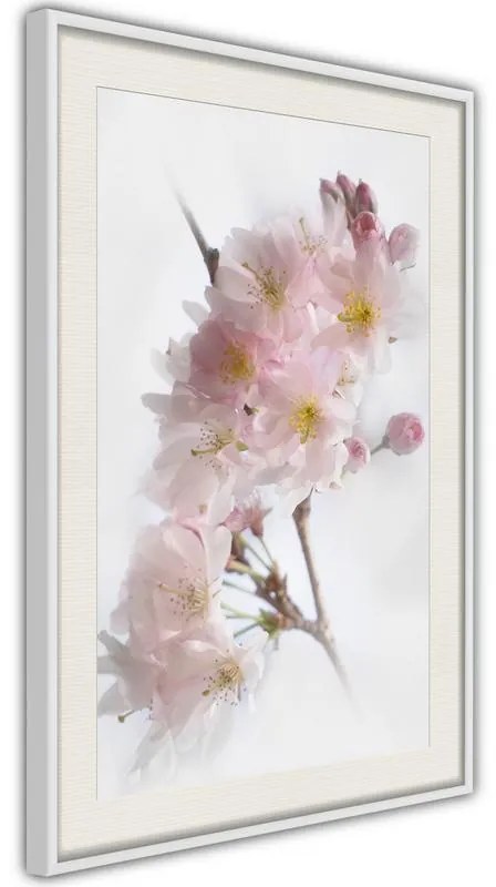 Poster  Scent of Spring  Cornice Quadri Cornice nera con pass-partout, Larghezza x Altezza Home decor 20x30