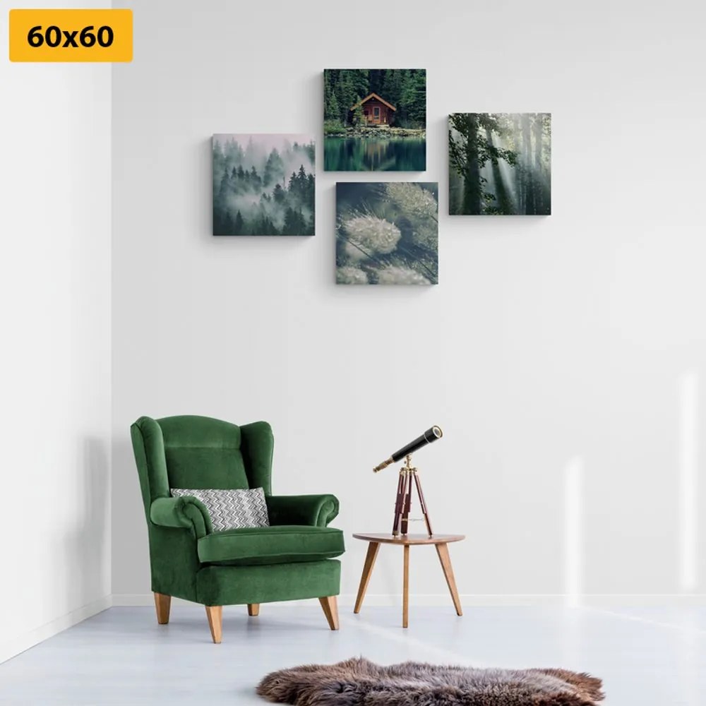 Set di quadri – Bellezze naturali
