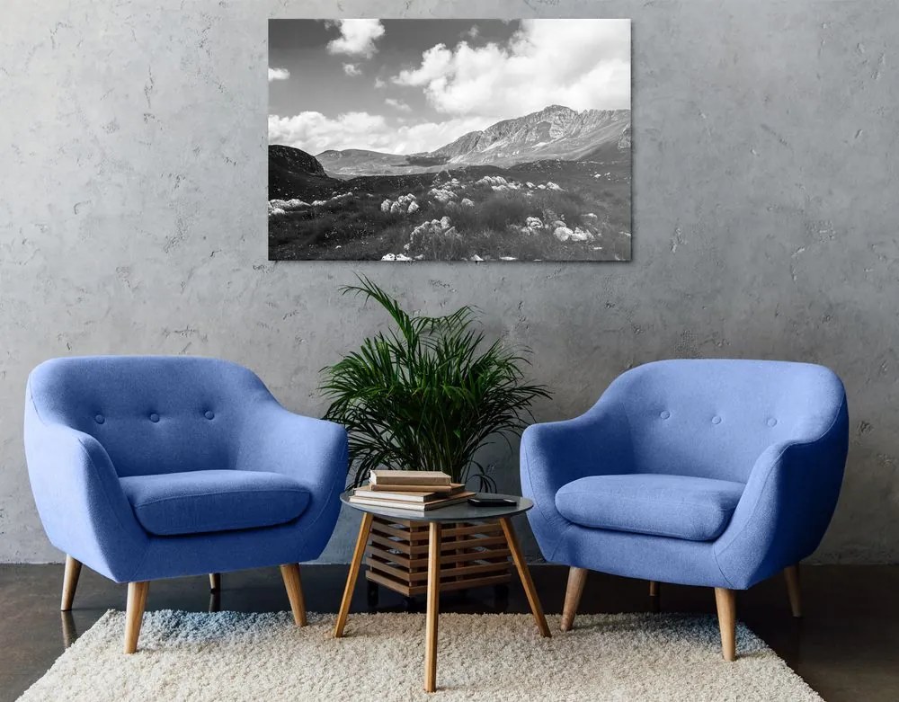 Stampa su tela – Valle in Montenegro in bianco e nero