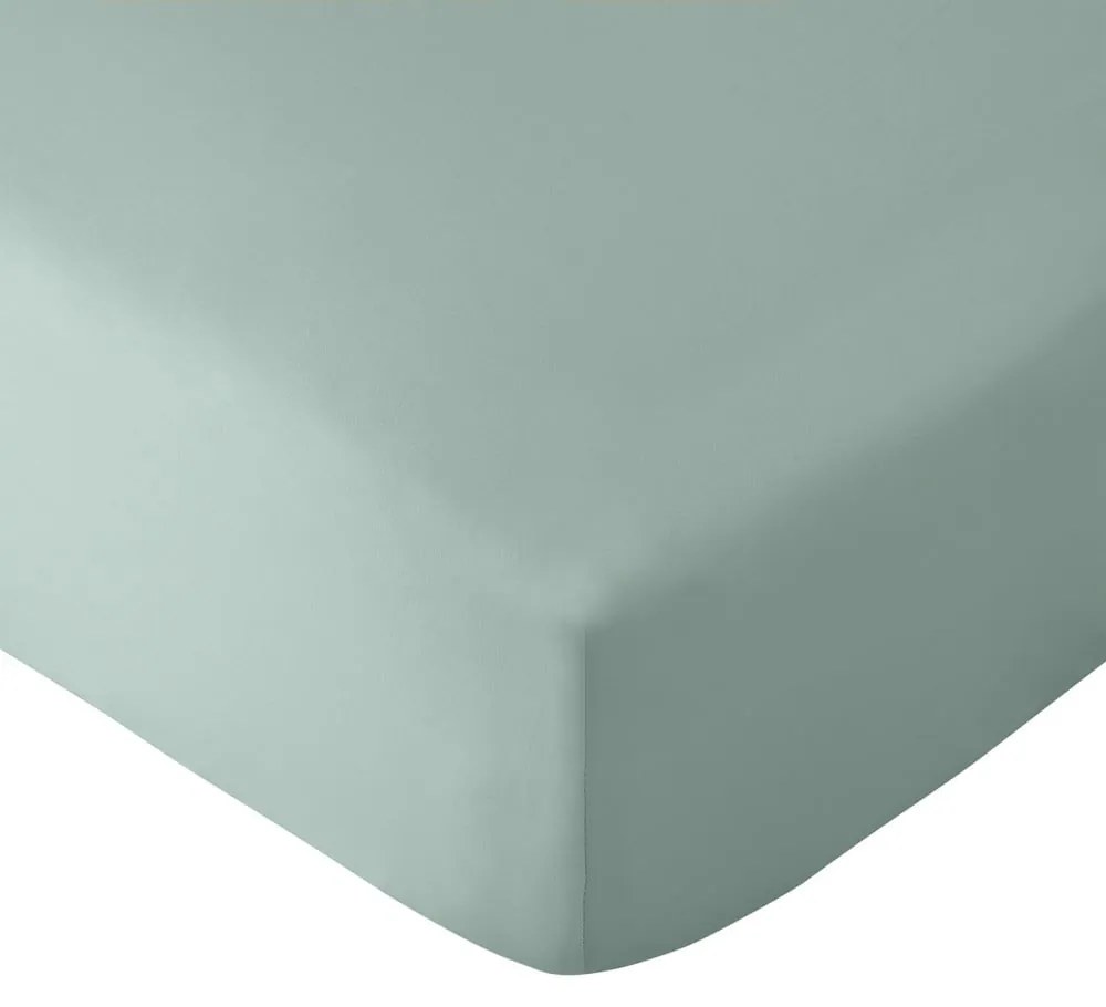 Lenzuolo con angoli verde 90x190 cm So Soft Non-Iron – Catherine Lansfield