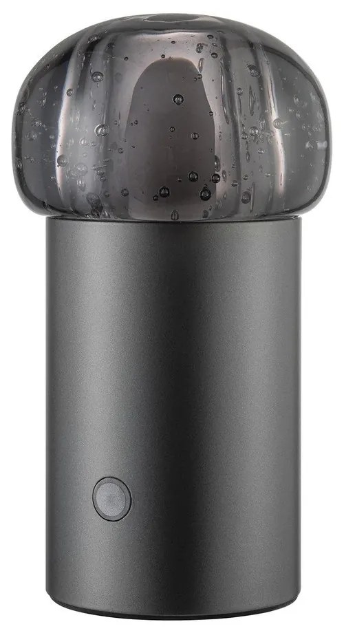 Luce LED portatile USB dimmerabile per esterni ø 10 cm Iris - Blomus