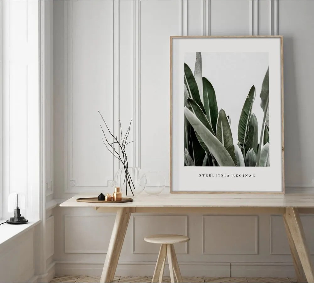 Dipinto 50x70 cm Strelitzia – Styler
