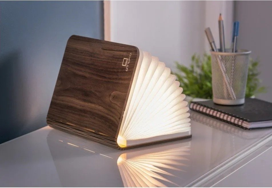 Decorazione luminosa marrone con ricarica USB Booklight – Gingko