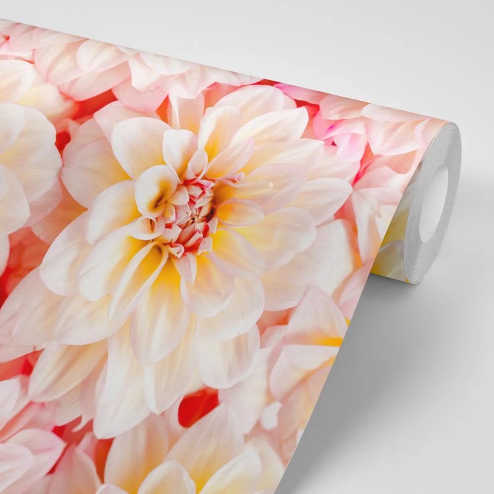 Carta da parati – Fiori di dalia pastello