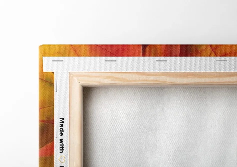 Quadro su tela – Foglie autunnali