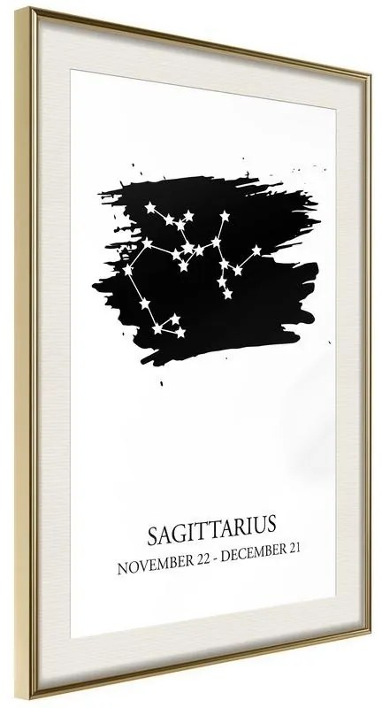 Poster  Zodiac: Sagittarius I  Cornice Quadri Cornice d'oro con passe-partout, Larghezza x Altezza Home decor 40x60