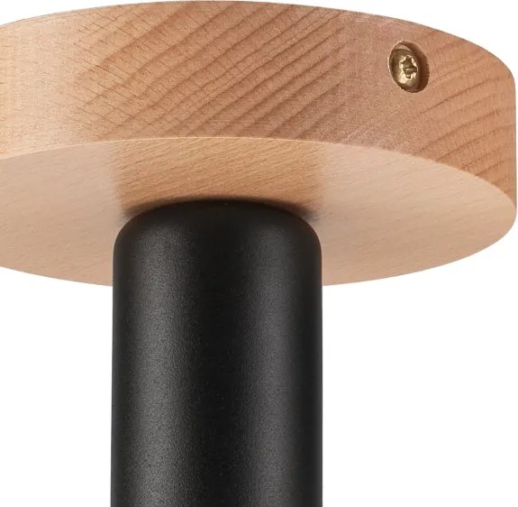 Lampadario a plafone VITO 1xE27/60W/230V