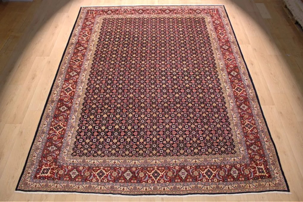 Sarouk Tappeto persiano 270x340 (Iran) Annodato A Mano