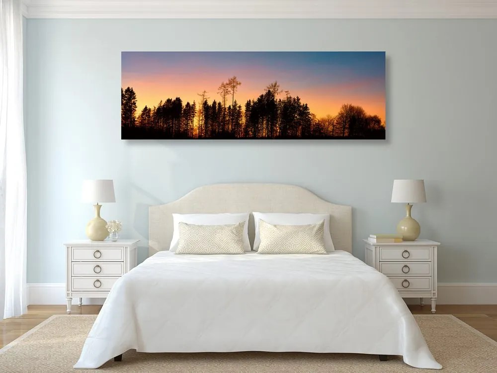 Quadro su tela – Foresta avvolta nell'oscurità