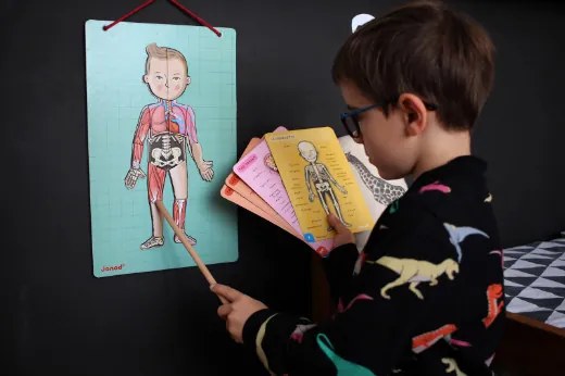 Bodymagnet - Lavagna magnetica - corpo umano