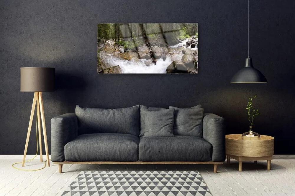 Quadro vetro acrilico Foresta, fiume, cascate 100x50 cm