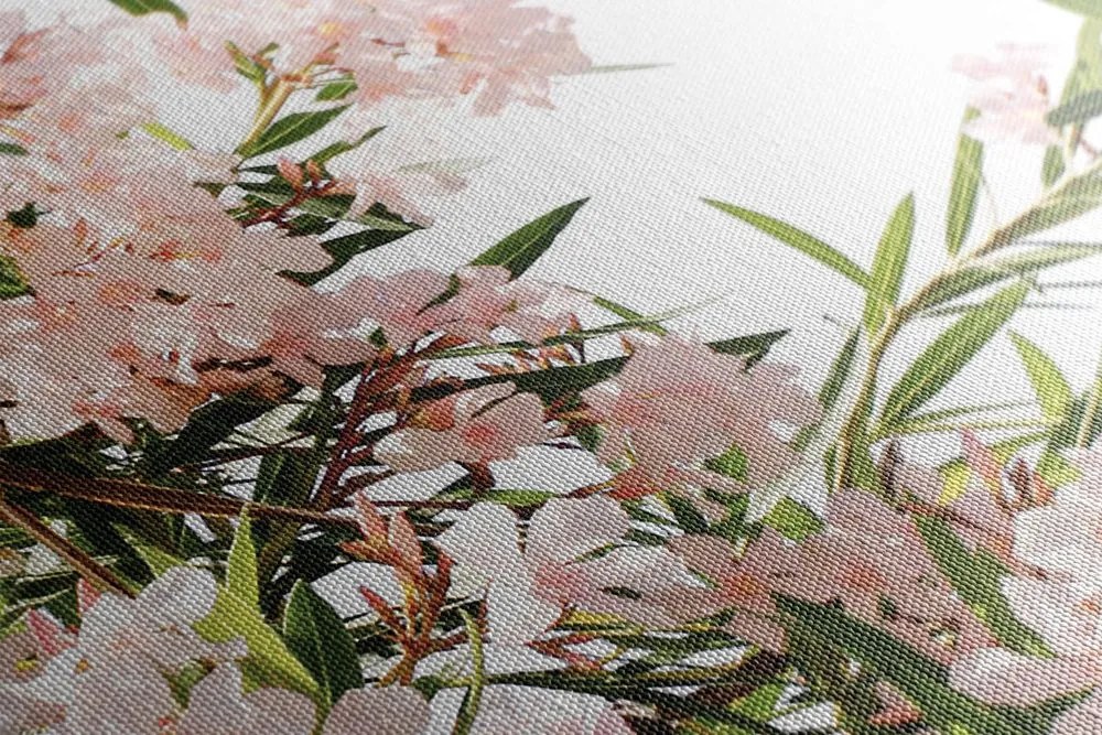 Stampa su tela – Torre Eiffel e fiori rosa