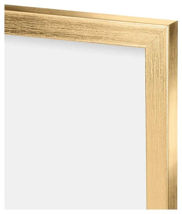 Cornice da parete in plastica oro 55x45 cm - knor