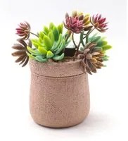 Pianta artificiale Succulenta H21 cm con Vaso Verde