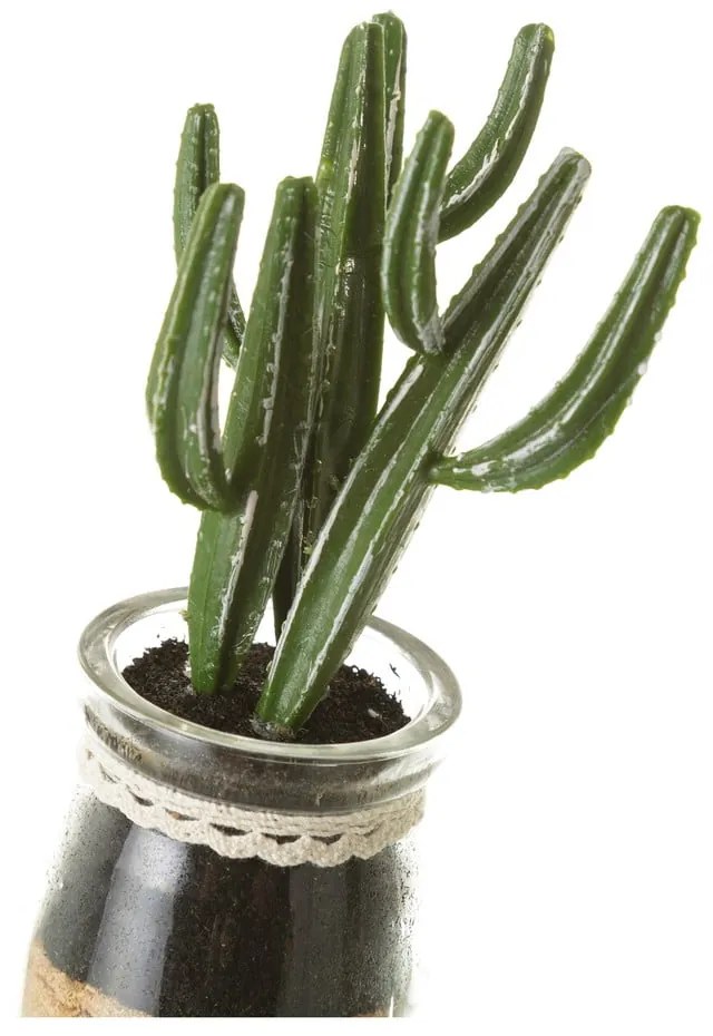 Piante artificiali in set da 4 (altezza 18 cm) Cactus - Casa Selección