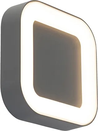 Lampada da parete e soffitto grigia quadrata IP54 - Ariel