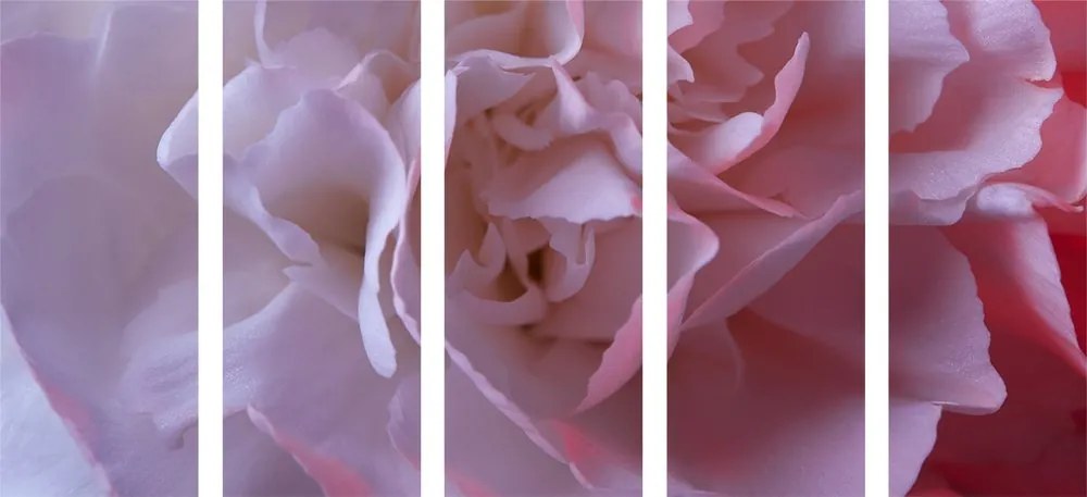Quadri 5 pezzi – Petali di garofano