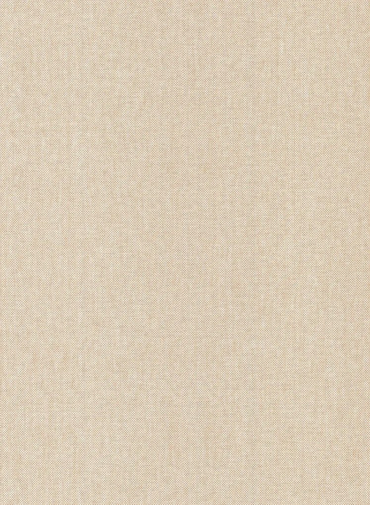 Arte International Carta da parati Scope - 42074