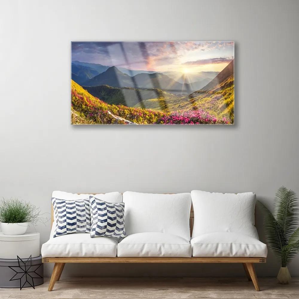 Quadro vetro acrilico Paesaggio del sole del prato di montagna 100x50 cm
