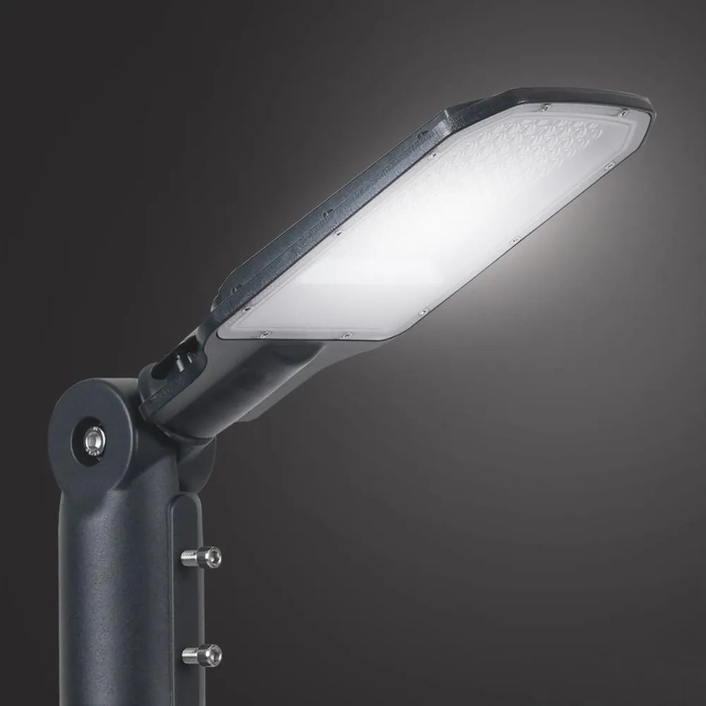BRILAGI - Lampione stradale a LED per esterni URBANLIGHT LED/50W/230V antracite IP65
