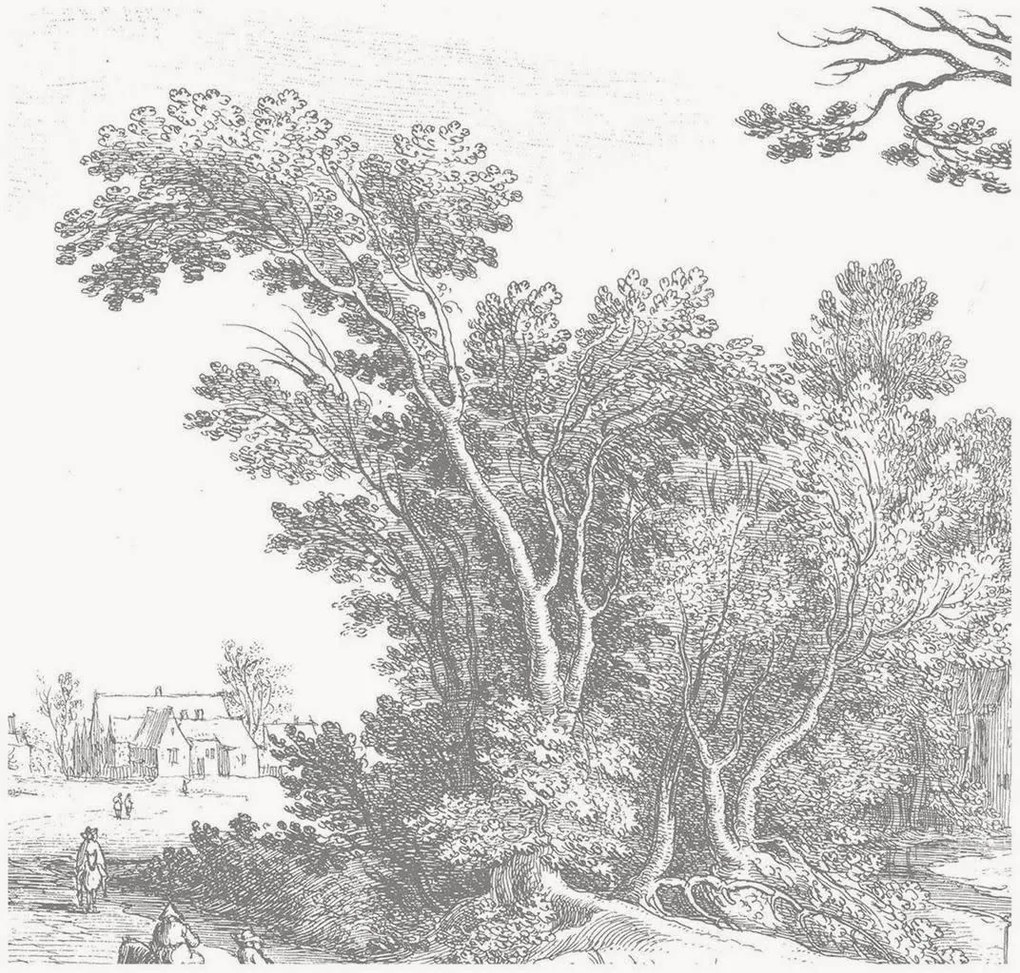 Carta da parati in tessuto non tessuto Engraved Landscapes V