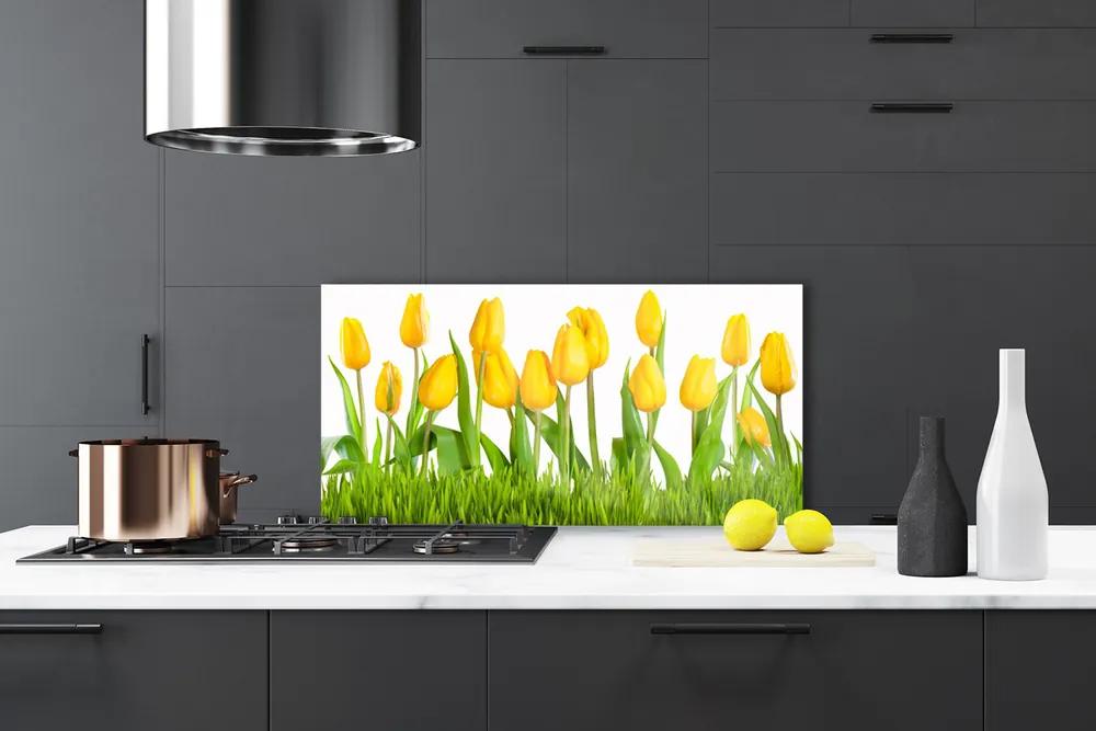 Pannello rivestimento parete cucina Tulipani Sul Muro 100x50 cm