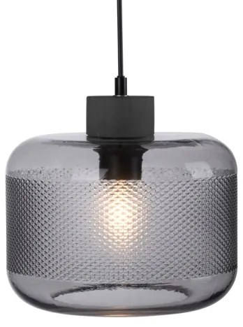 Paul Neuhaus 2005-25 - Lampadario a sospensione con filo BOLETUS 1xE27/10W/230V diametro 23,5 cm grigio