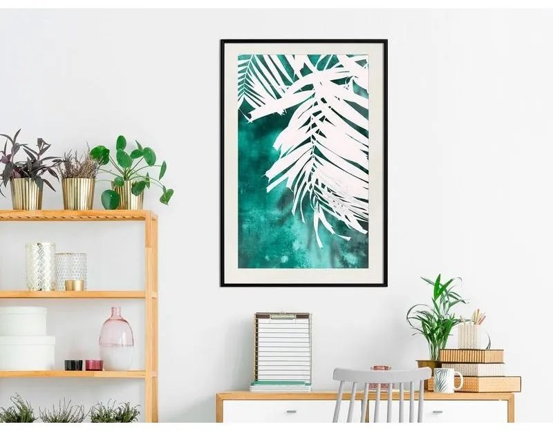 Poster White Palm on Teal Background