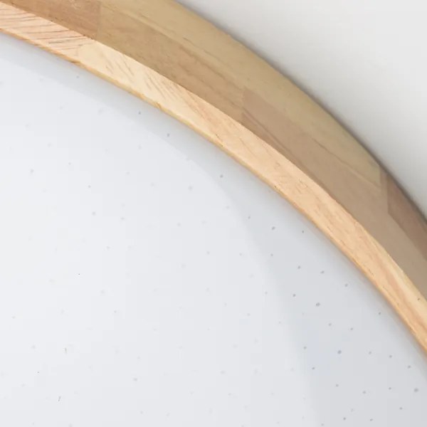 Brilagi - Plafoniera dimmerabile a LED PINE LED/24W/230V + telecomando