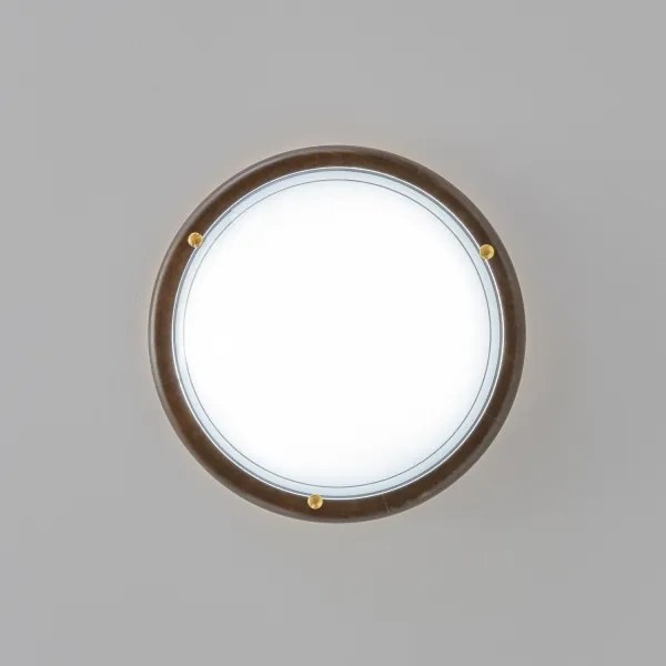 Rabalux 5417 - Plafoniera UFO E27/60W/230V