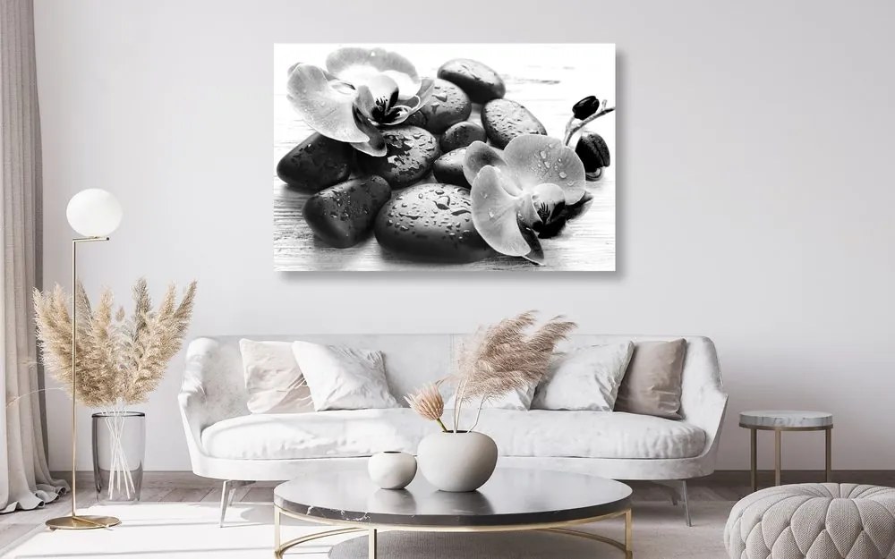 Quadro su tela – Bella armonia di pietre e orchidee in bianco e nero