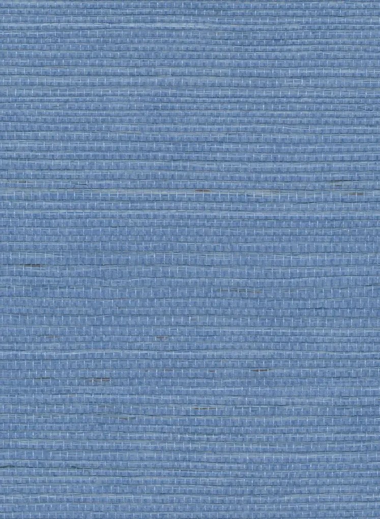 Élitis Tapete Sisal - RM 1069 41