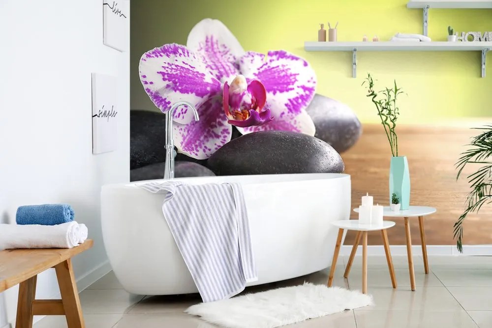 Carta da parati autoadesiva – Orchidea e pietre nere