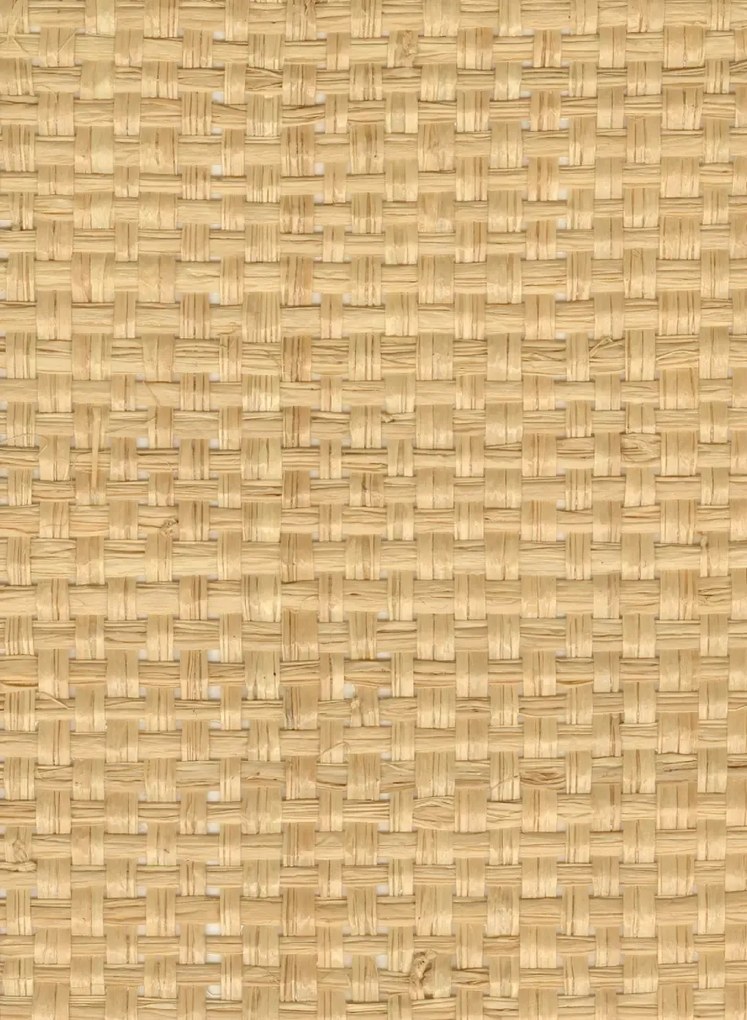CMO Paris Carta da parati Raphia Maille - Naturel