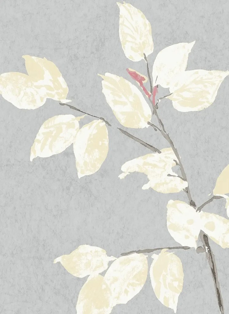 Lewis & Wood Carta da parati Beech - Dove