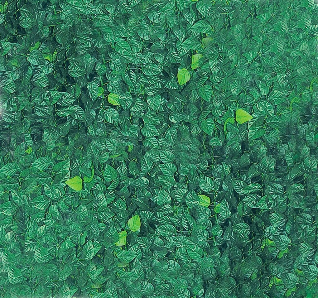 Arella Siepe Sintetica Artificiale 300x150 cm in Polipropilene Ombreggiante Bauer Foglie di Lauro...