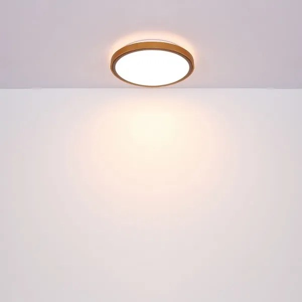 Globo 41764-12 - Plafoniera LED BRUNO LED/12W/230V 307 mm 3000/4500/6000K