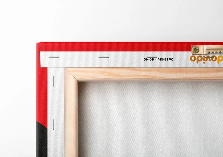 Quadro su tela – Straniera in città