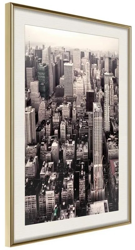 Poster  New York from a Bird's Eye View  Cornice Quadri Cornice d'oro con passe-partout, Larghezza x Altezza Home decor 30x45