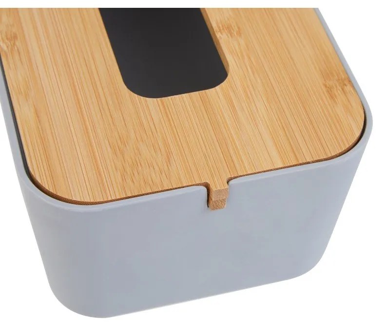 Scatola di plastica per fazzoletti Canyon - Premier Housewares