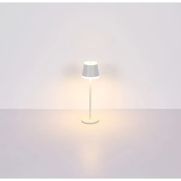 Globo 58433W - Lampada da tavolo LED dimmerabile con funzione Touch RIDLEY LED/4,6W/230V IP54