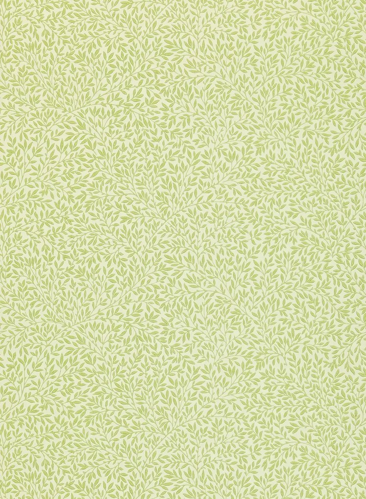 Morris & Co Carta da parati Standen - Fennel