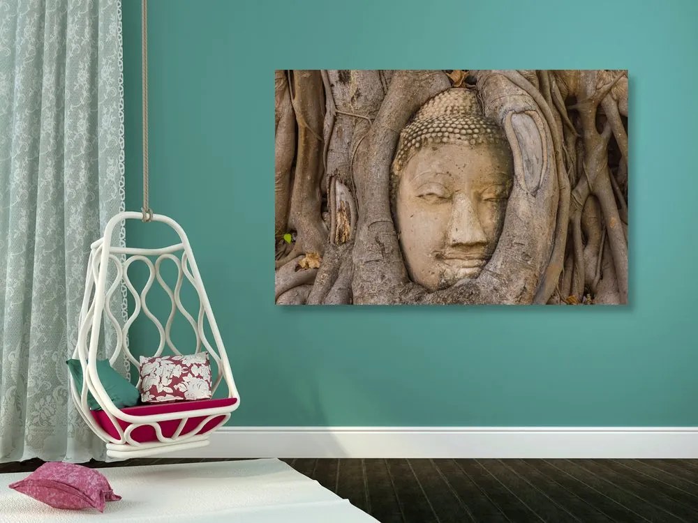 Stampa su tela – Ficus sacro di Buddha