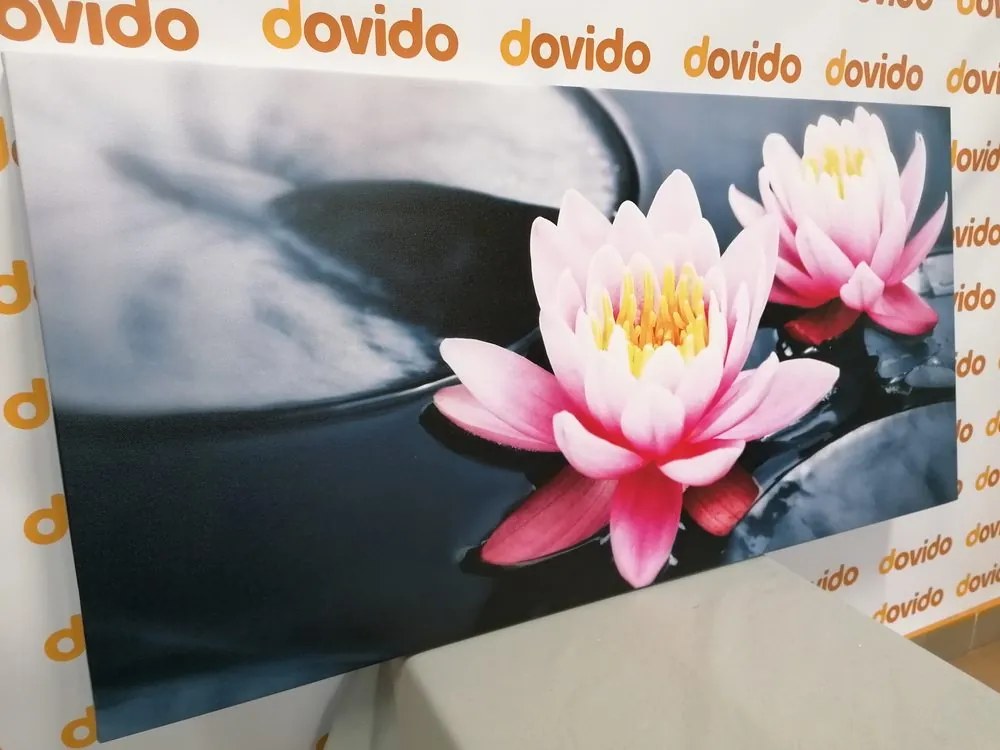 Quadro su tela – Fiore di loto nel lago