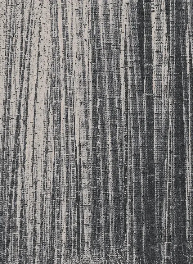 Jannelli & Volpi Wandbild Arashiyama - Black Panel 5