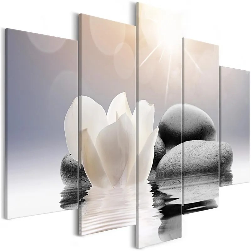 Quadro  Natural Lightness (5 Parts) Wide  Colore Grigio, Dimensioni e Misure 100x50