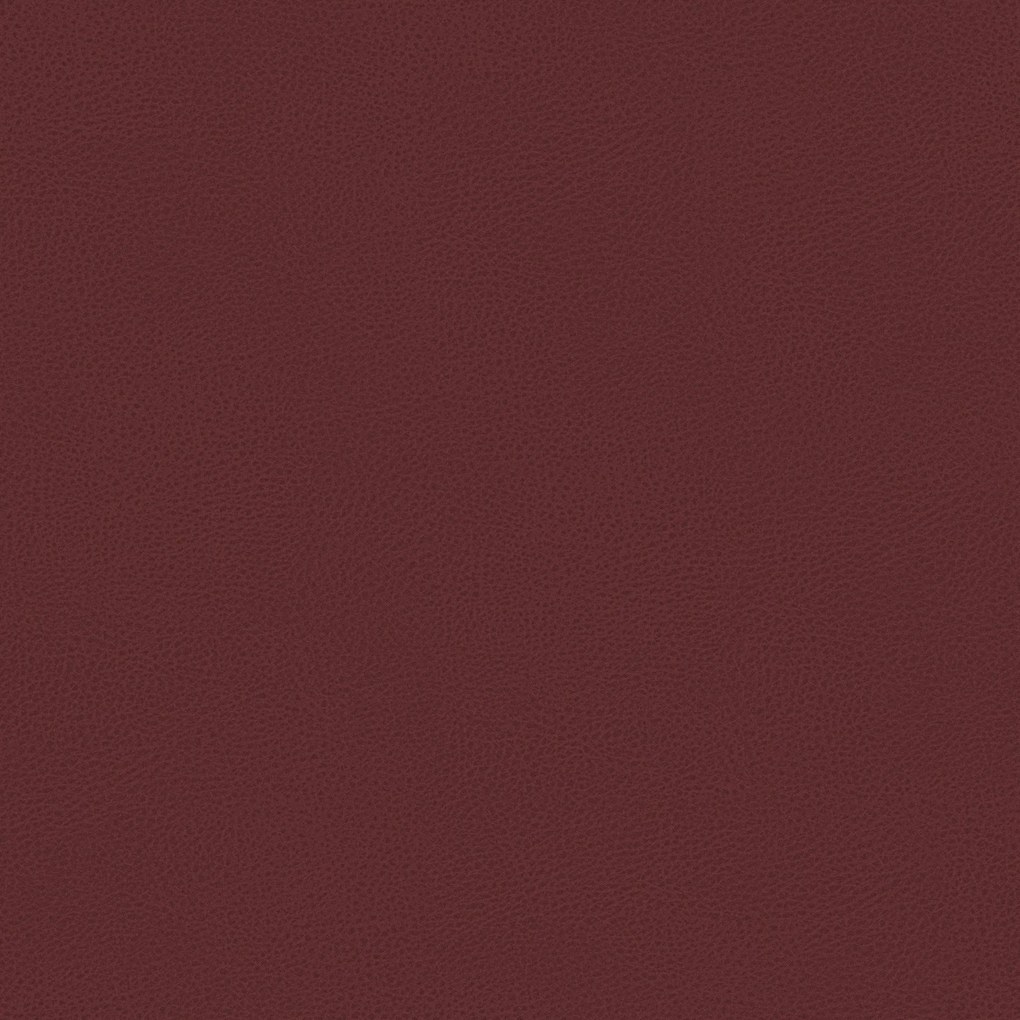 Bisont cuscino disponibile in diversi colori realizzato in microfibra effetto pelle smacchiabile T15 rosso