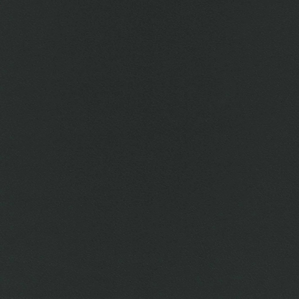Florida cuscino disponibile in diversi colori realizzato in ecopelle resistente impermeabile T04 antracite
