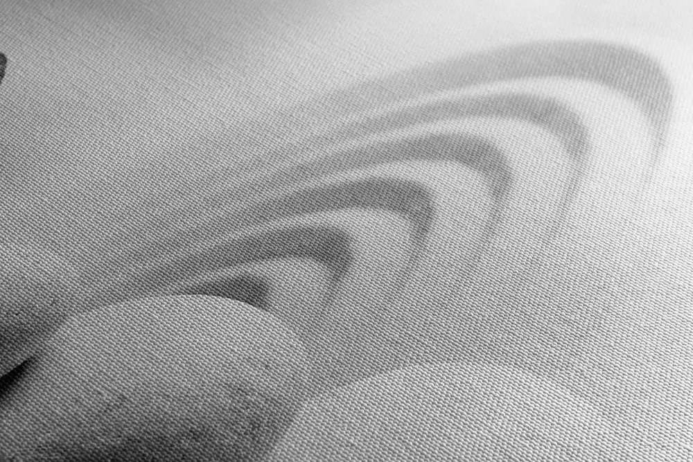 Stampa su tela – Equilibrio di pietre e farfalla in bianco e nero