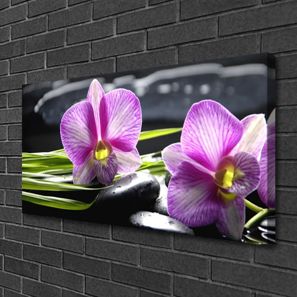 Foto quadro su tela Pietre Orchid Zen Spa 100x50 cm